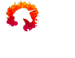 wedding planners in cochin